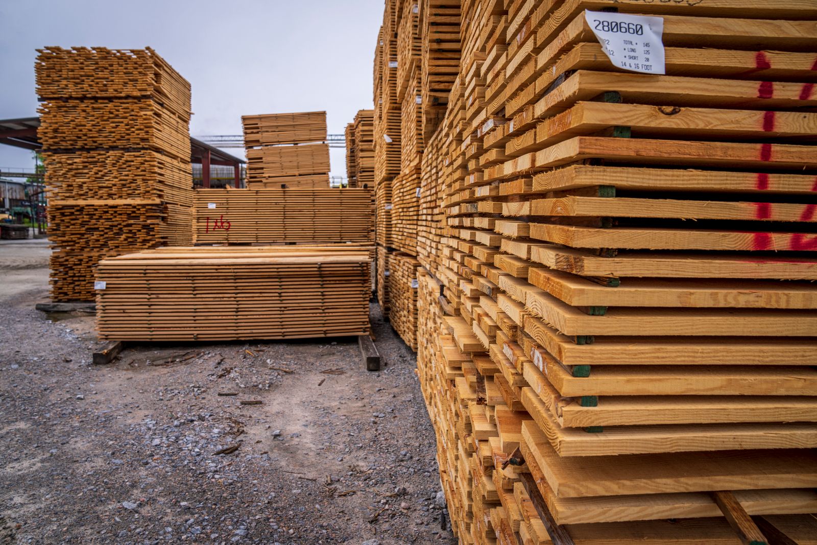 Piles de planches de bois résineux en train de sécher, prêtes à être travaillées